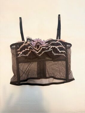 Sheer Black Embroidered Bustier Crop Top